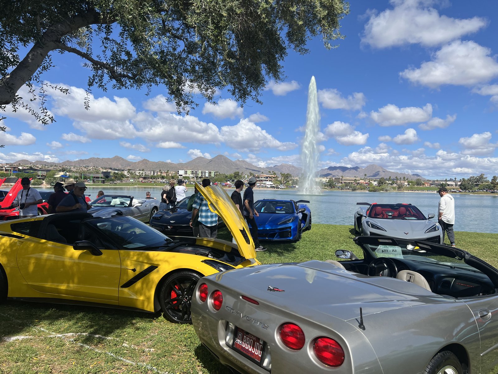 Corvettes at the Fountain Hills car show